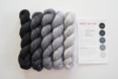 party-of-5-sock-yarn-graphite